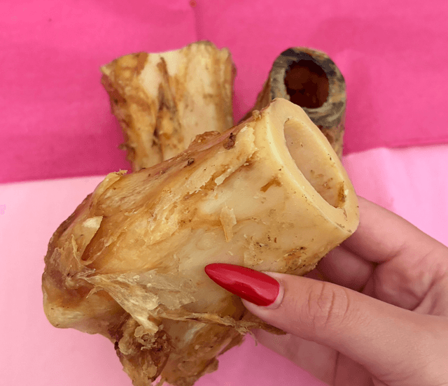 Hollow Bone Marrow 