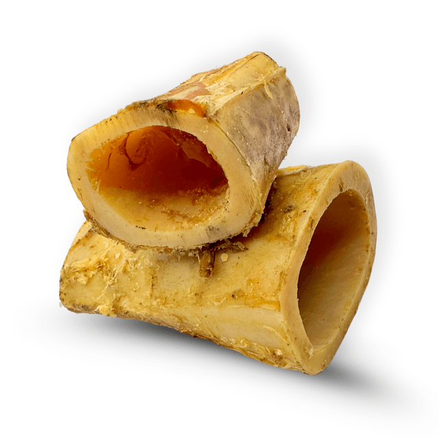 Hollow Bone Marrow 