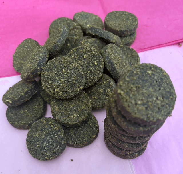 Gourmet Salmon Cookies 