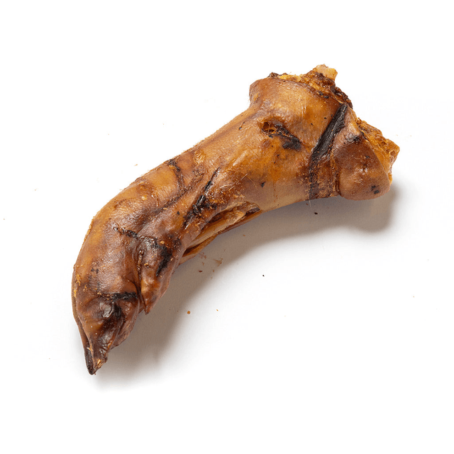 Large Pig Trotter