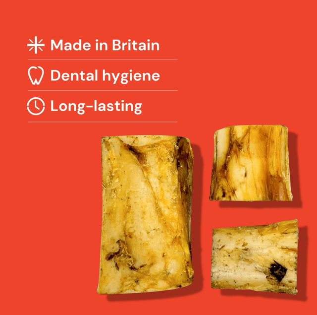 Hollow Bone Marrow 