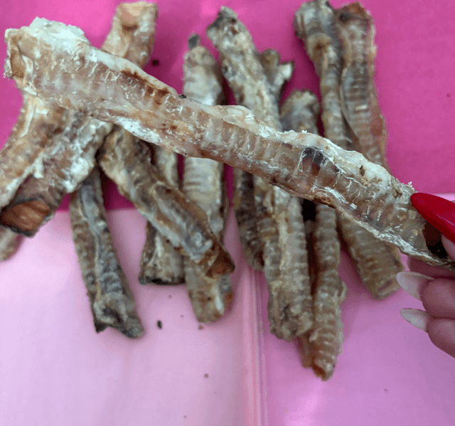 Lamb Trachea