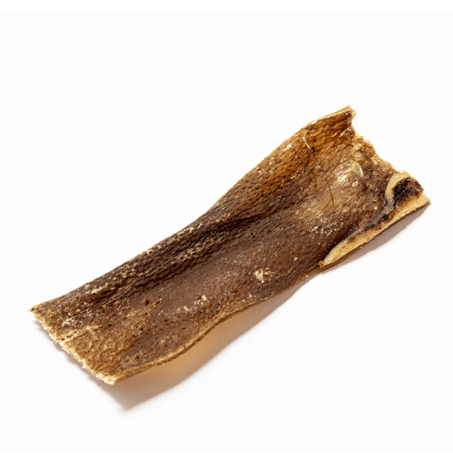 Wild Boar Skins 