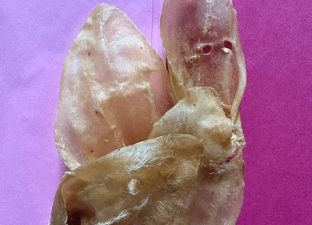 1 Lamb Ear