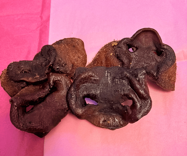 pig snouts 